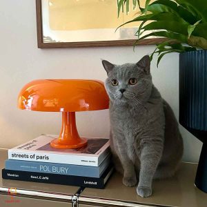 آباژور رومیزی مدل Nesso - Image 11